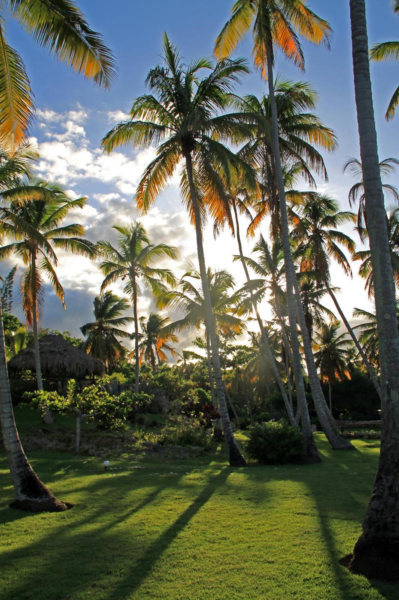 Hotel Todoblanco, Las Galeras, Samana Eksteriør bilde