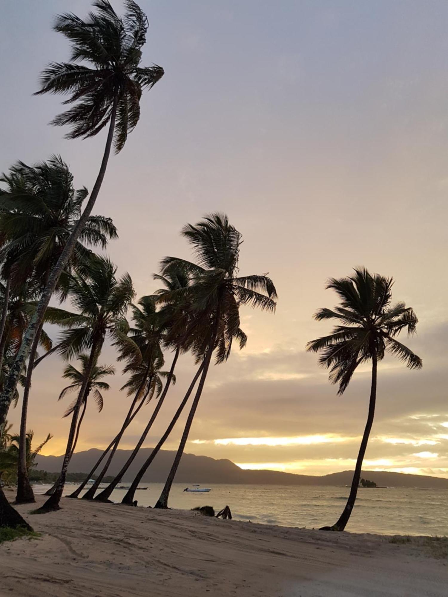 Hotel Todoblanco, Las Galeras, Samana Eksteriør bilde