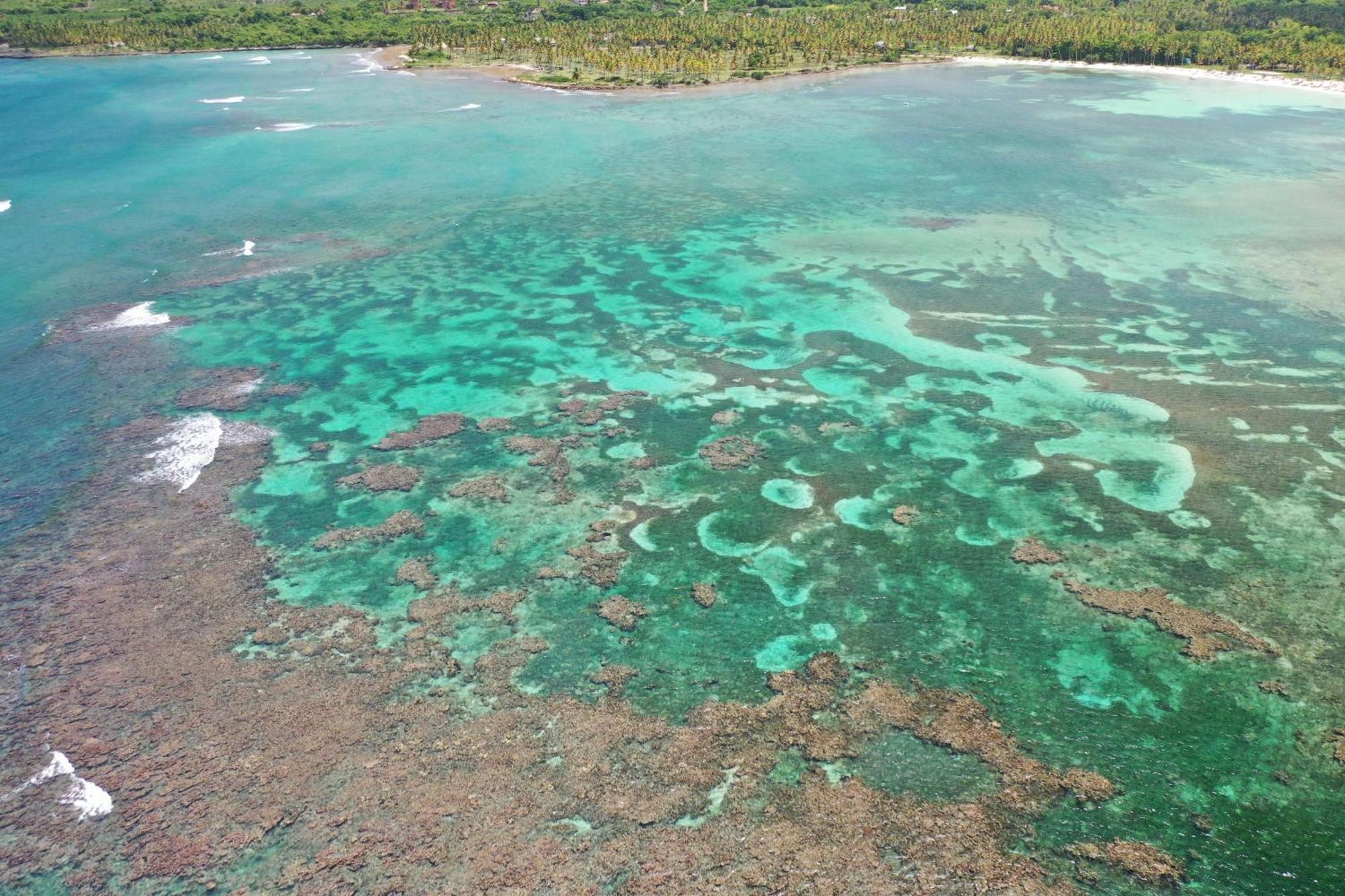 Hotel Todoblanco, Las Galeras, Samana Eksteriør bilde